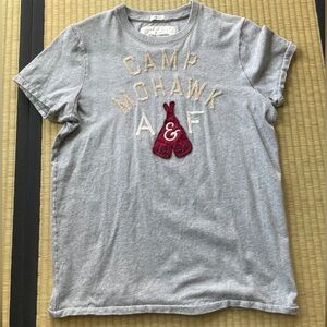 Abercrombie & Fitch Men's T-Shirt Muscle Camp Mohawk (M)